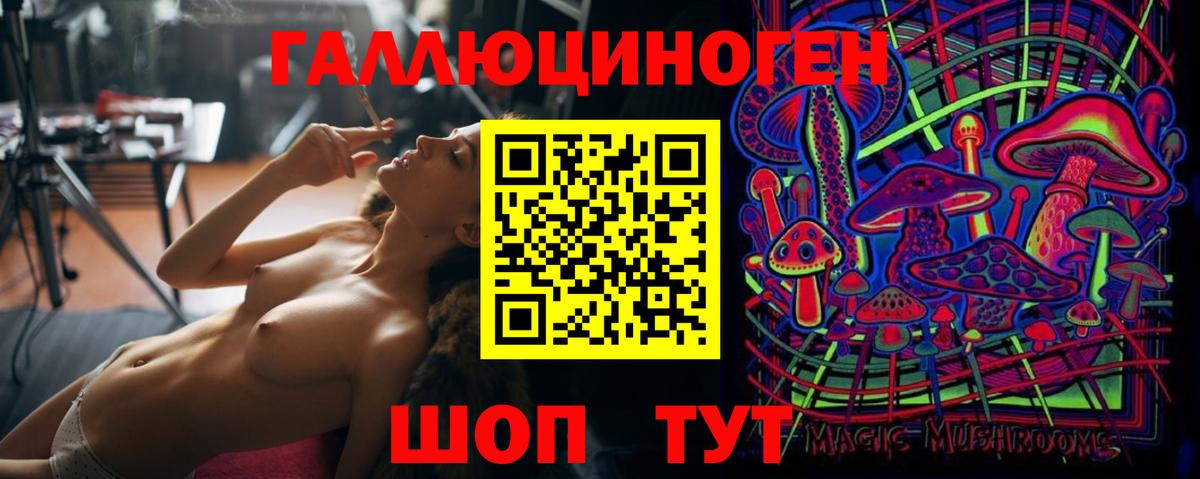 Реж  Галлюциногенные грибы Psilocybine cubensis  Вход с VPN 