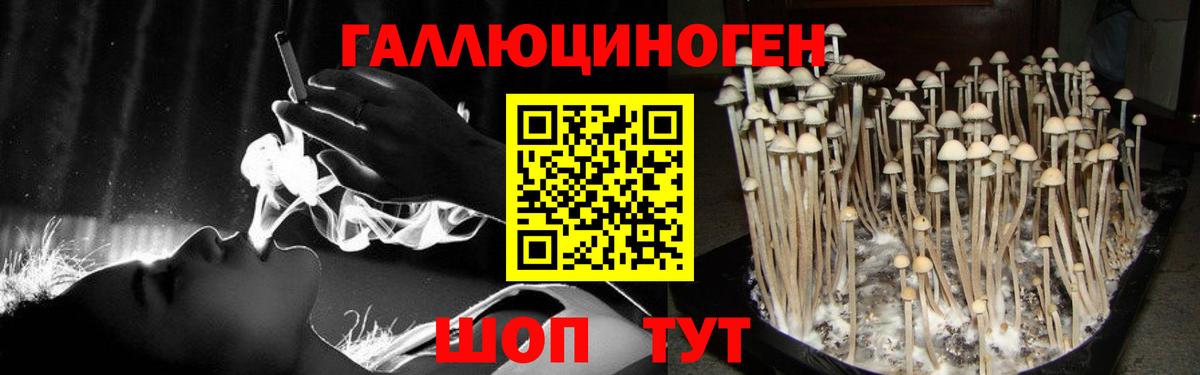 Галлюциногенные грибы прущие грибы Реж